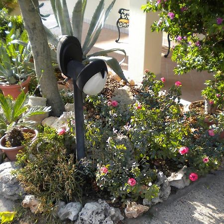 Civico 493 B'N'B Bed & Breakfast Preganziol Dış mekan fotoğraf