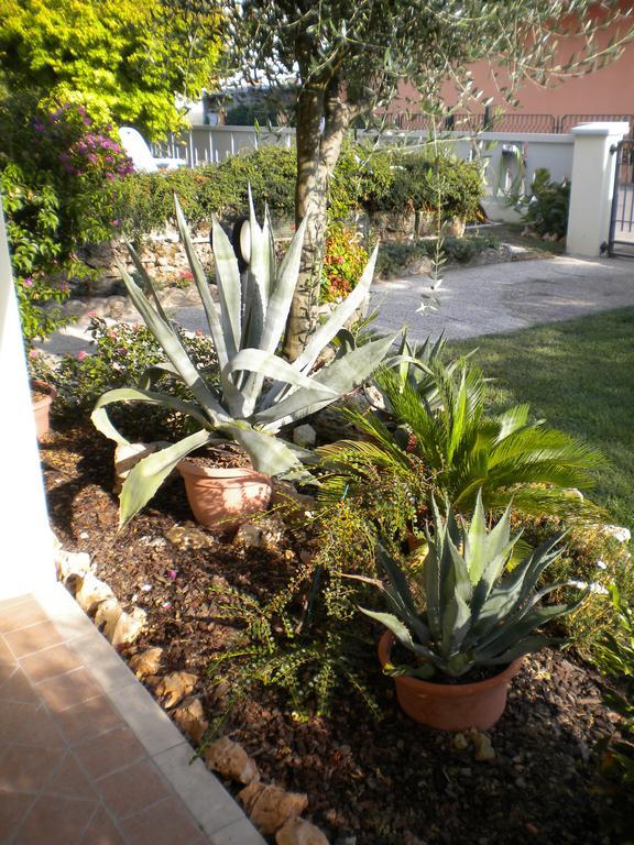 Civico 493 B'N'B Bed & Breakfast Preganziol Dış mekan fotoğraf