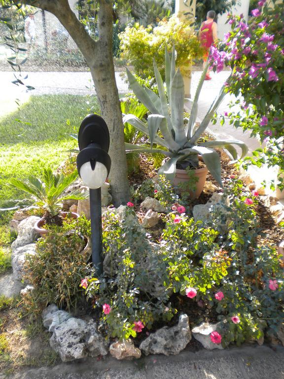 Civico 493 B'N'B Bed & Breakfast Preganziol Dış mekan fotoğraf