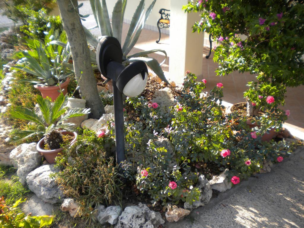 Civico 493 B'N'B Bed & Breakfast Preganziol Dış mekan fotoğraf