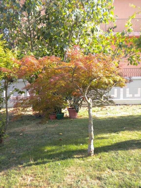 Civico 493 B'N'B Bed & Breakfast Preganziol Dış mekan fotoğraf